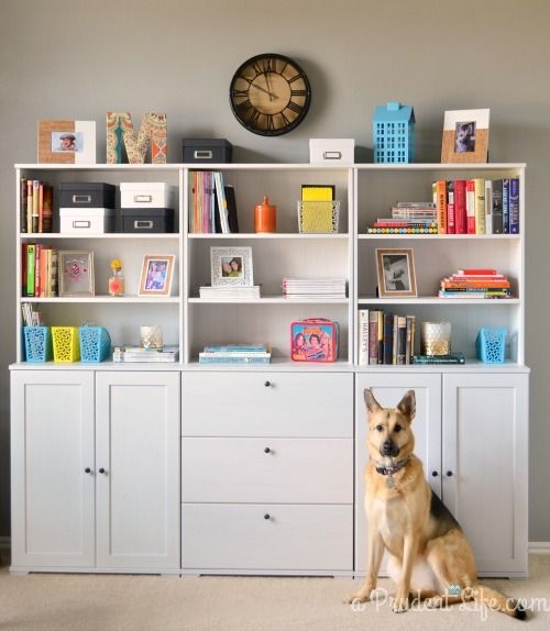 Storage bookcase with doors 4