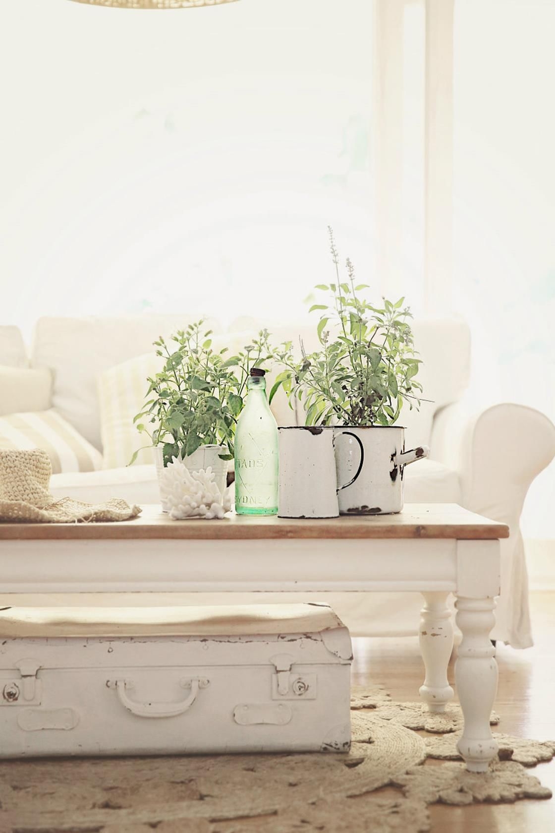 Rustic chic coffee table