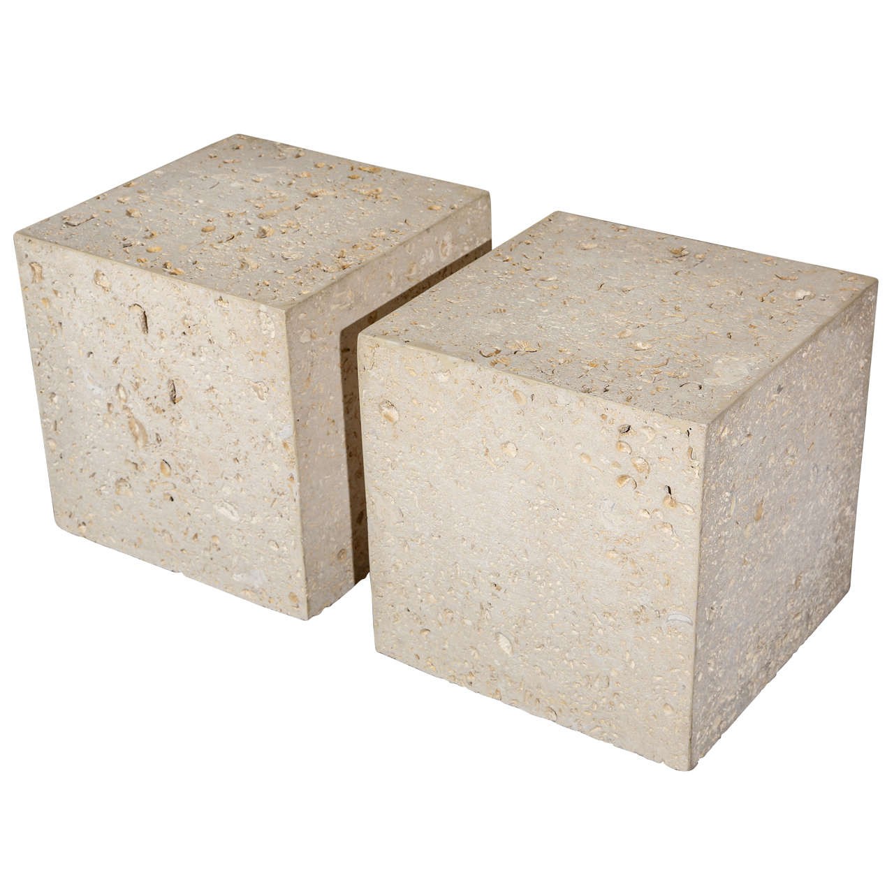Pair of fossil stone end tables