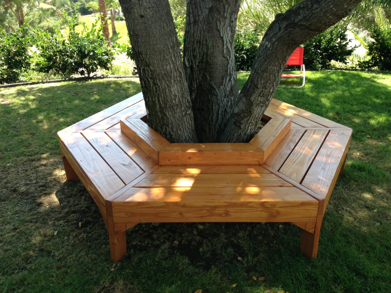 Garden seat around tree