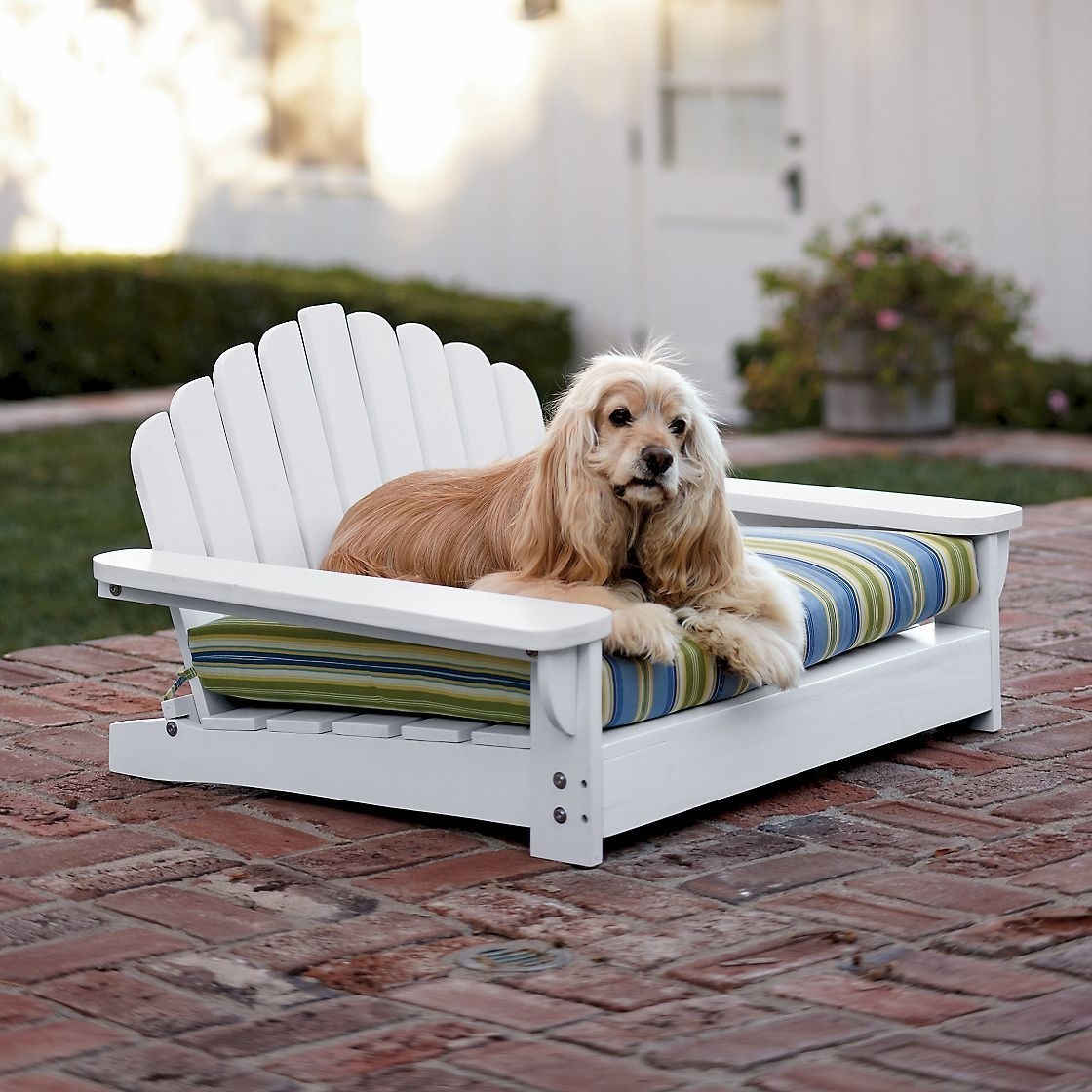Pet bed furniture
