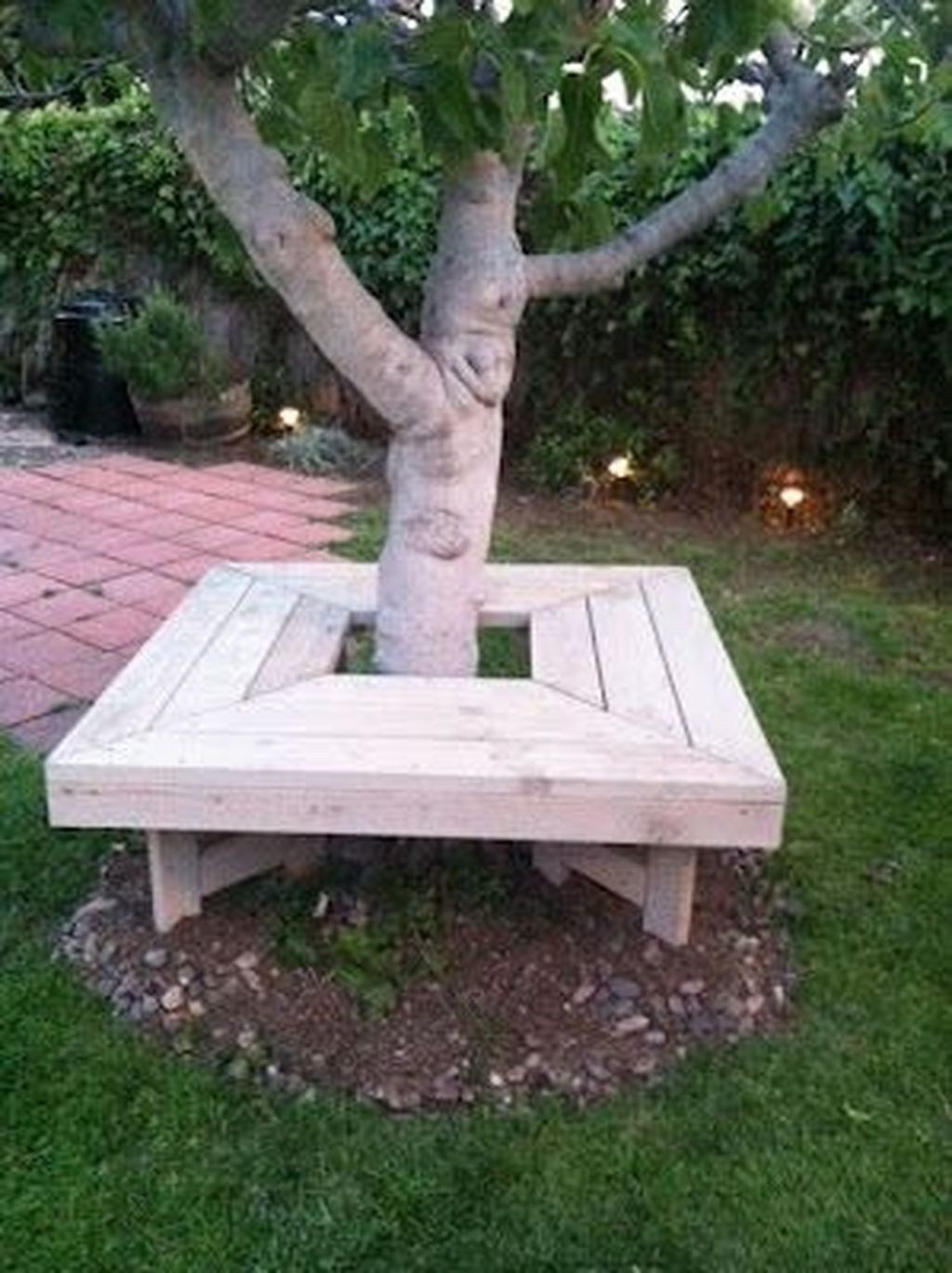 Tree bench