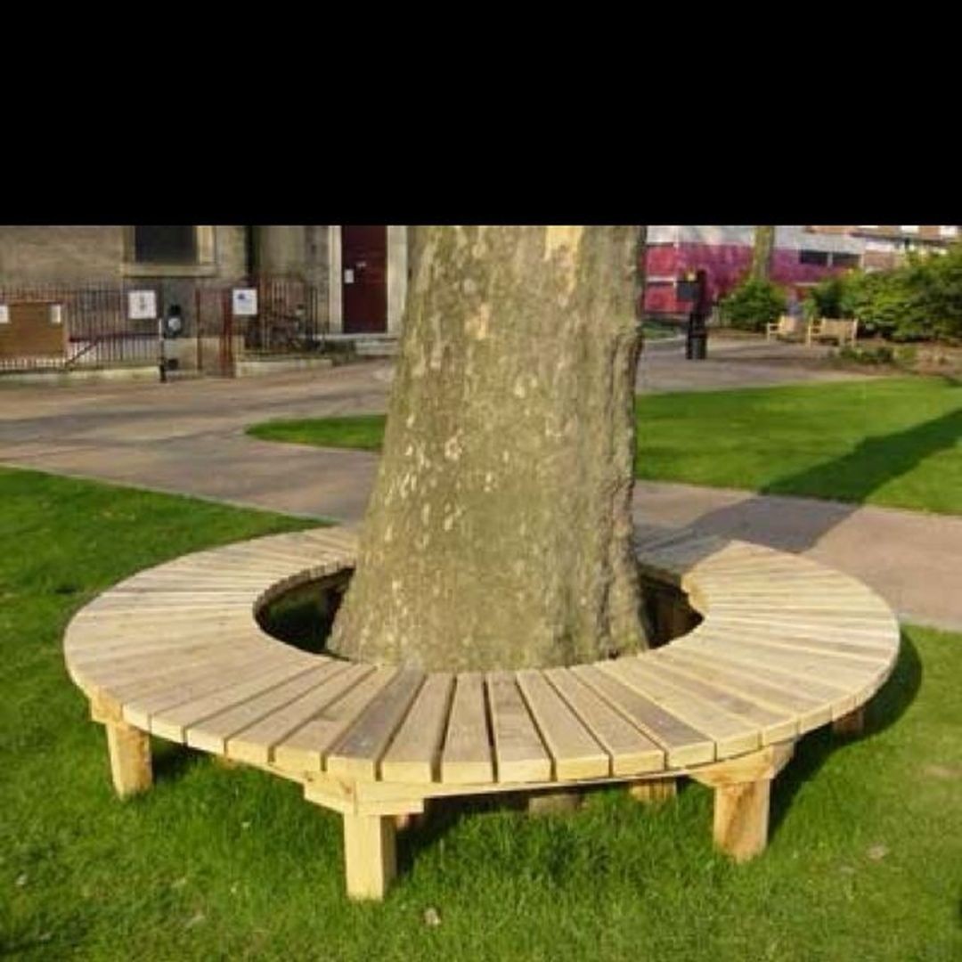 Tree wrap around bench