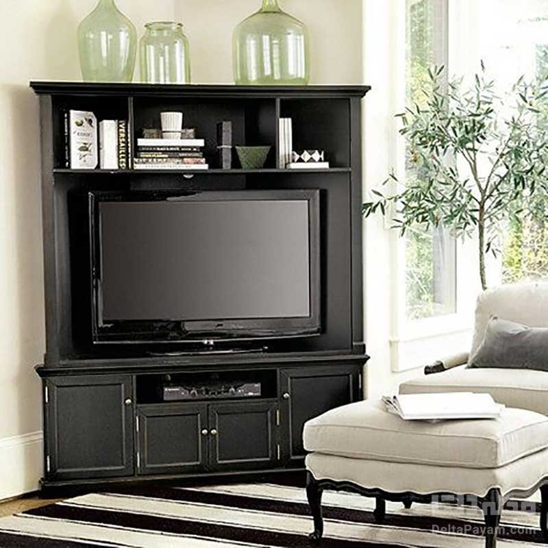 Corner Entertainment Stand