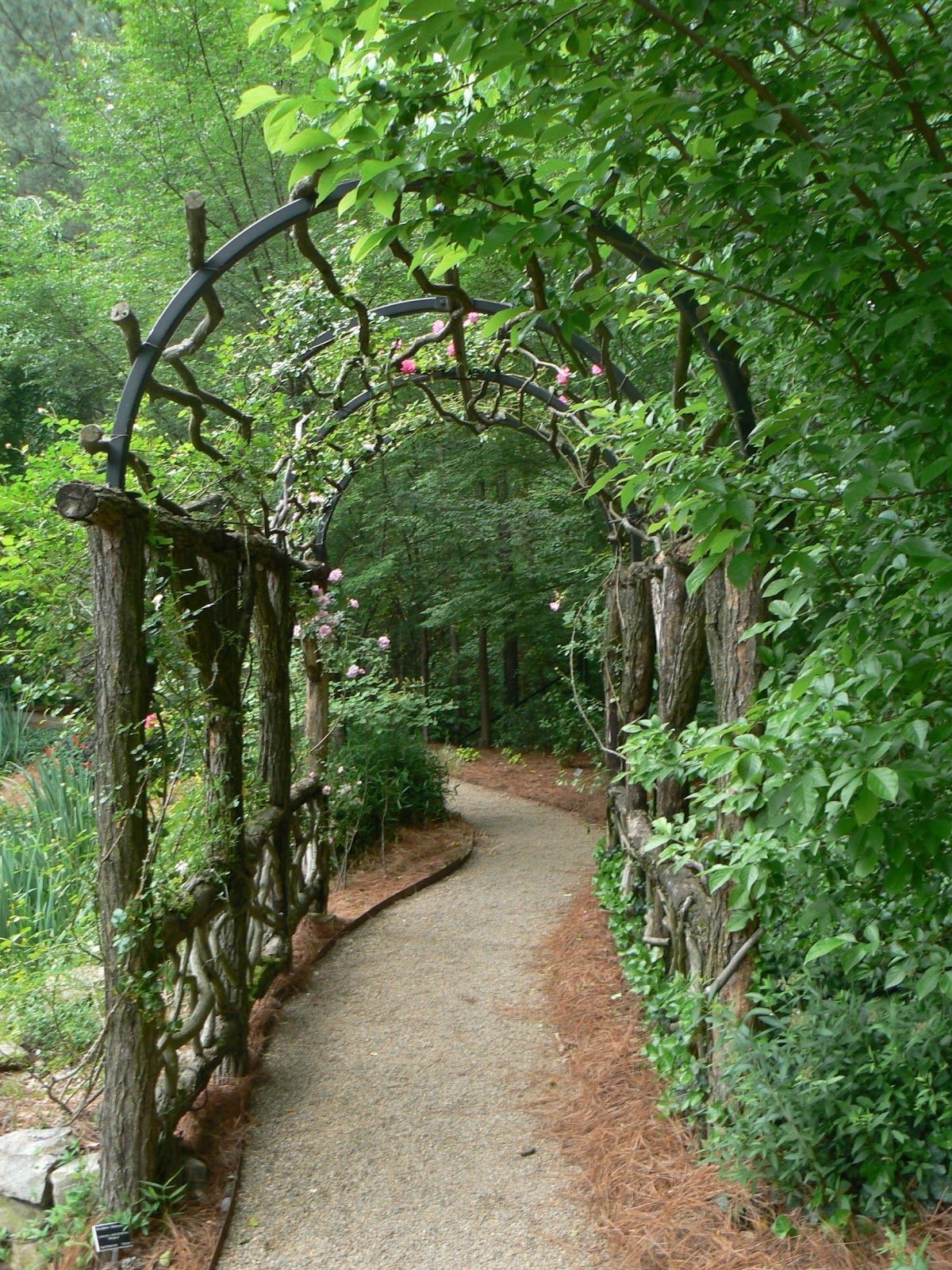 Iron arbors and trellises 2