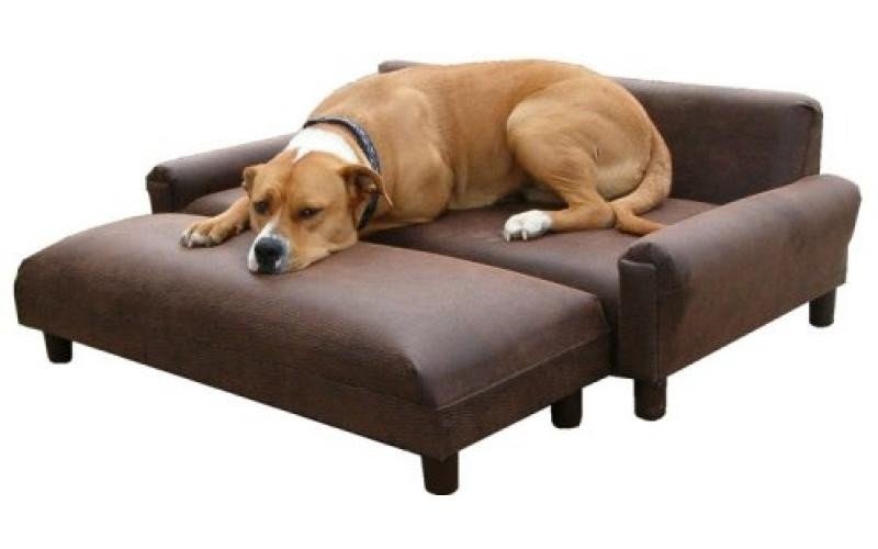 Ottoman dog bed