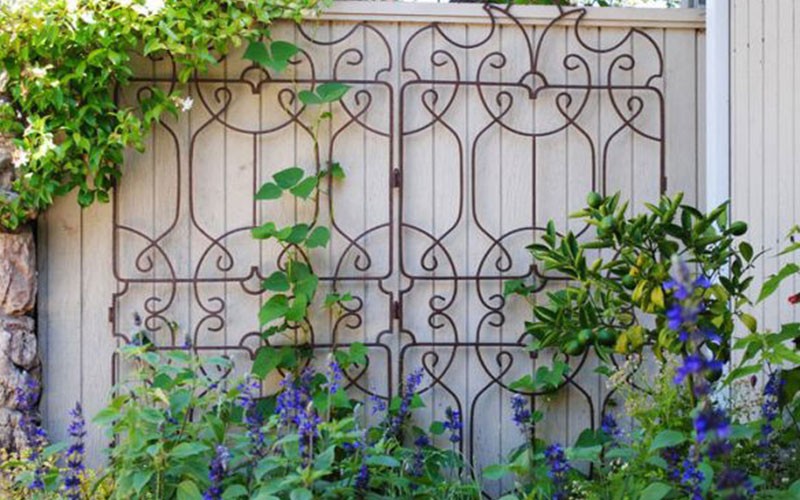 Trellis canopy