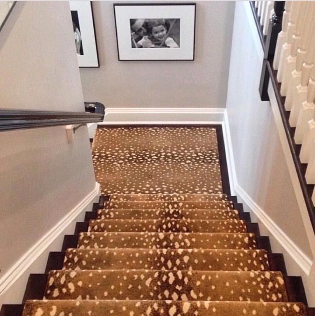 Antelope print rug 5