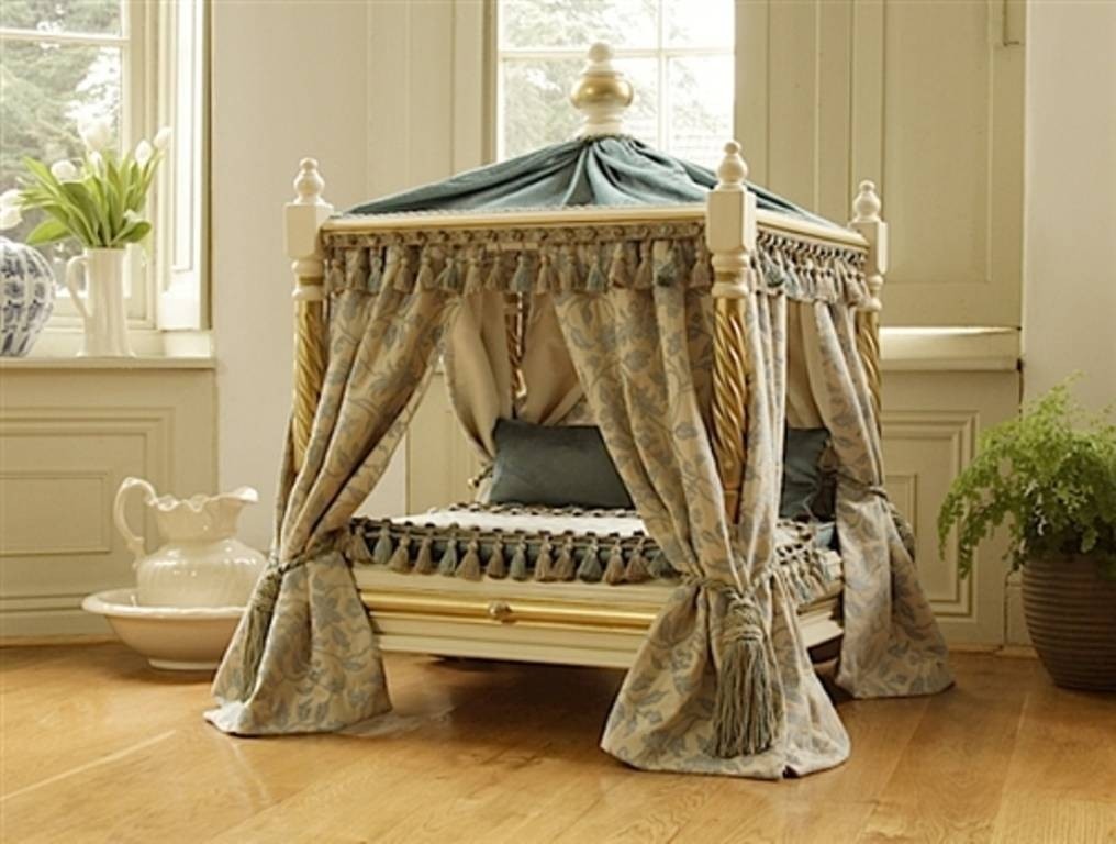Creative dog beds