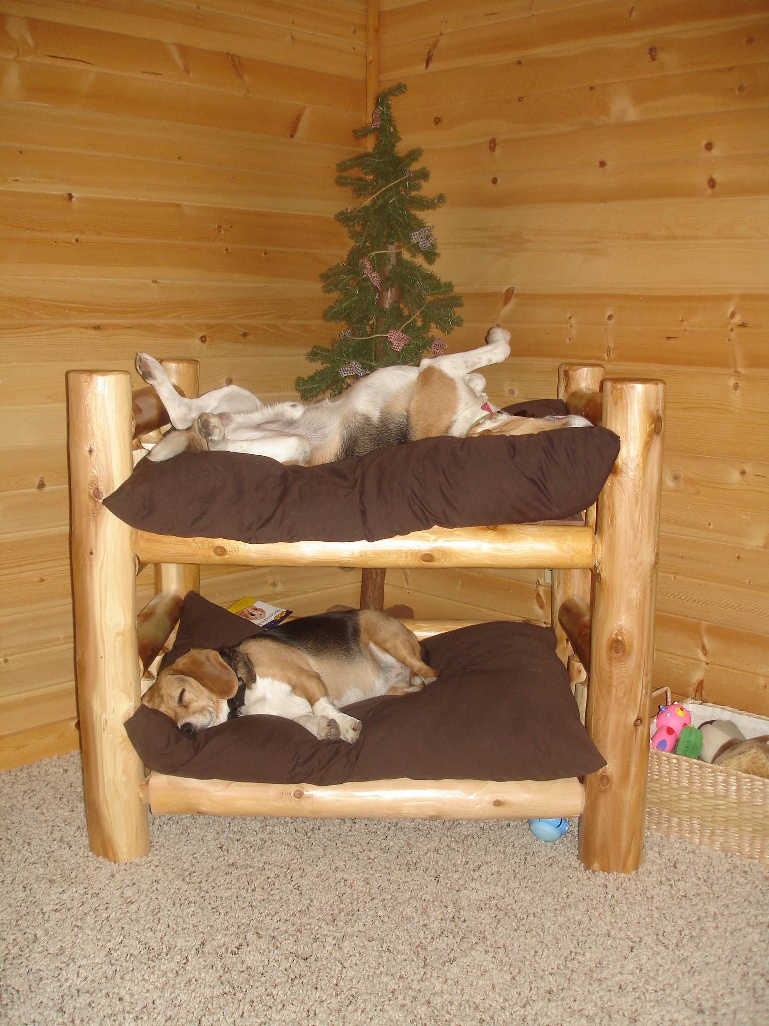 Doggy furniture
