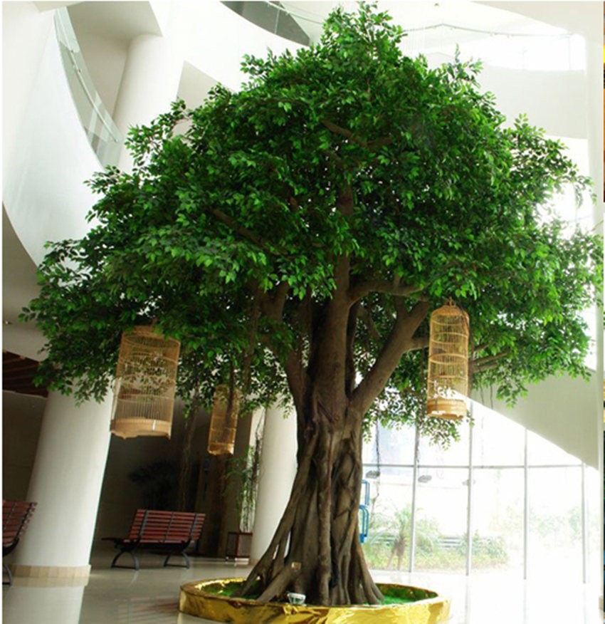 Faux indoor trees 21