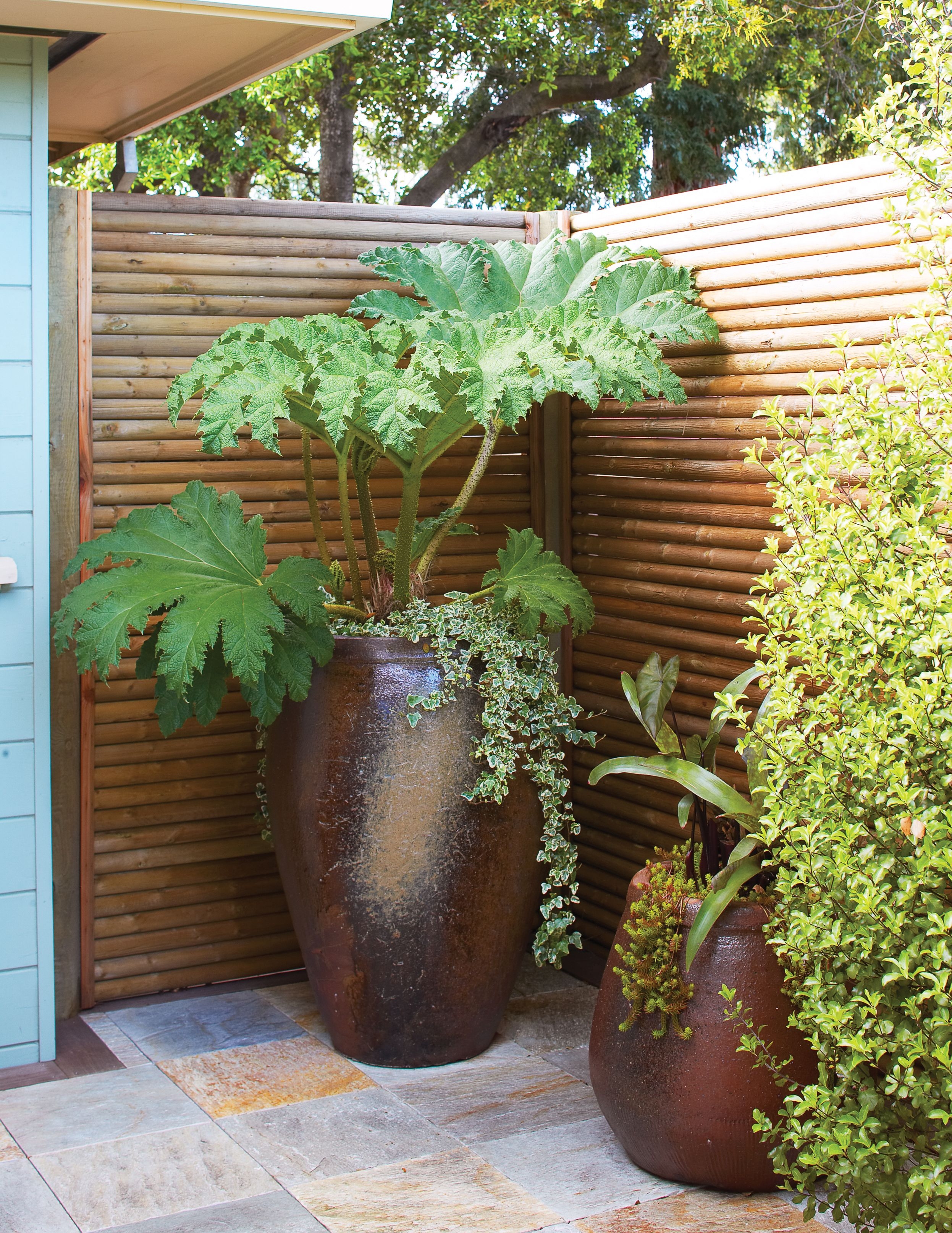 Bamboo screen outdoor
