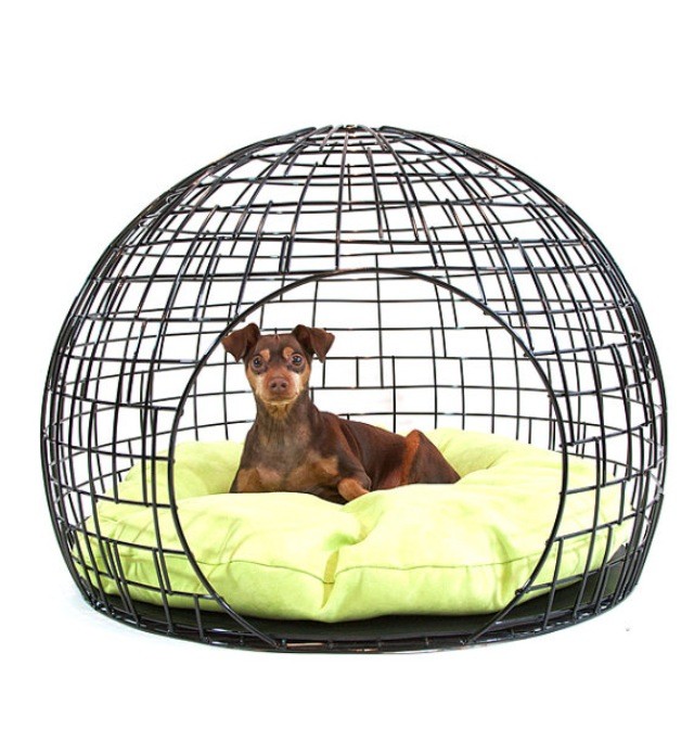 The co op pet home black