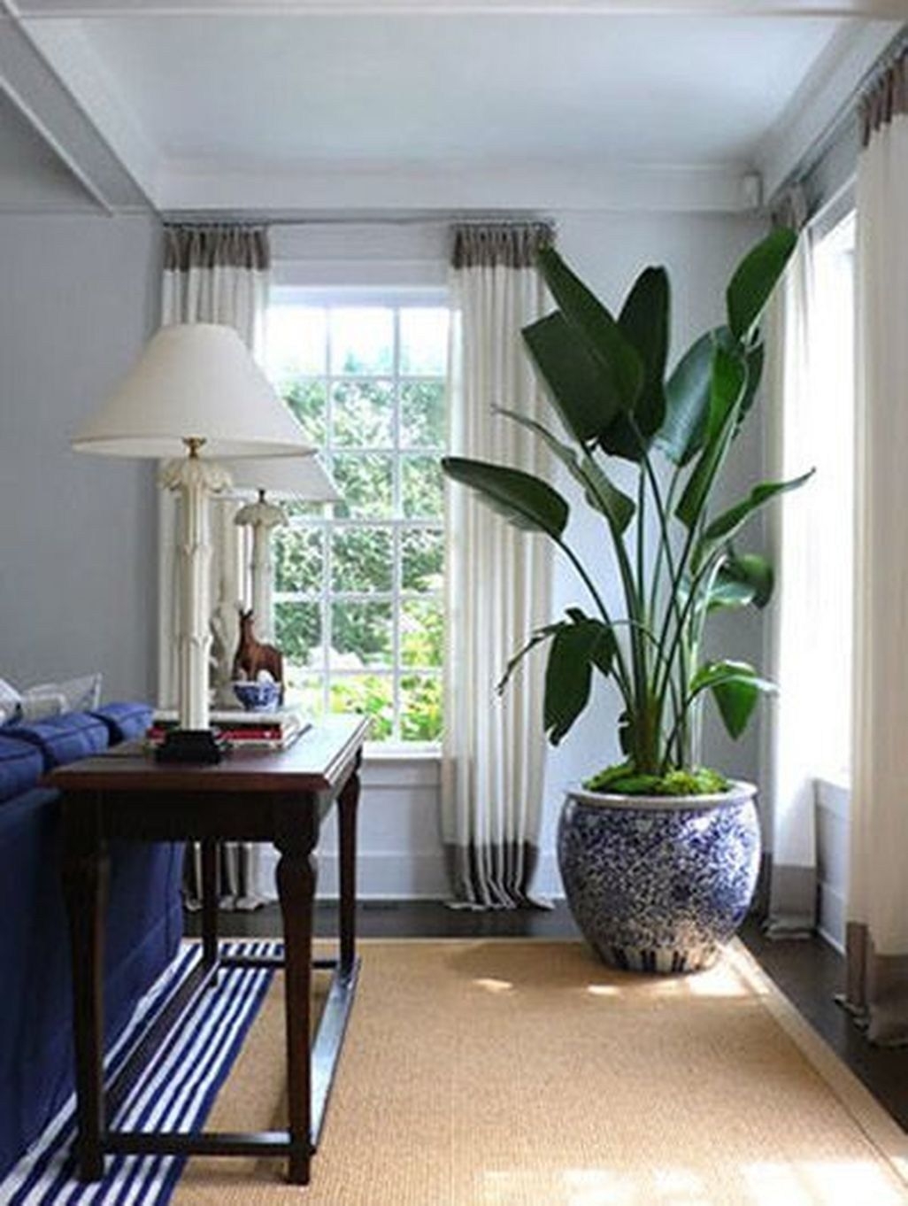 Large indoor planters 1