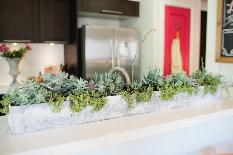 Rectangular indoor planter