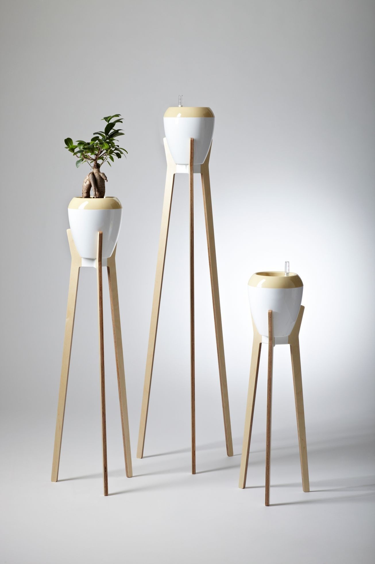 Wood plant stand indoor 2
