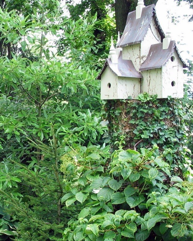 Big bird houses