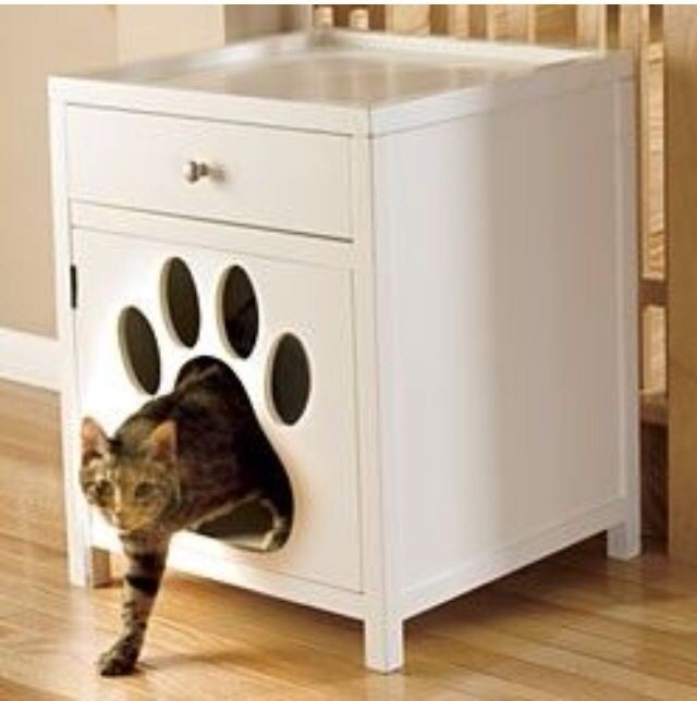 Cat litter furniture