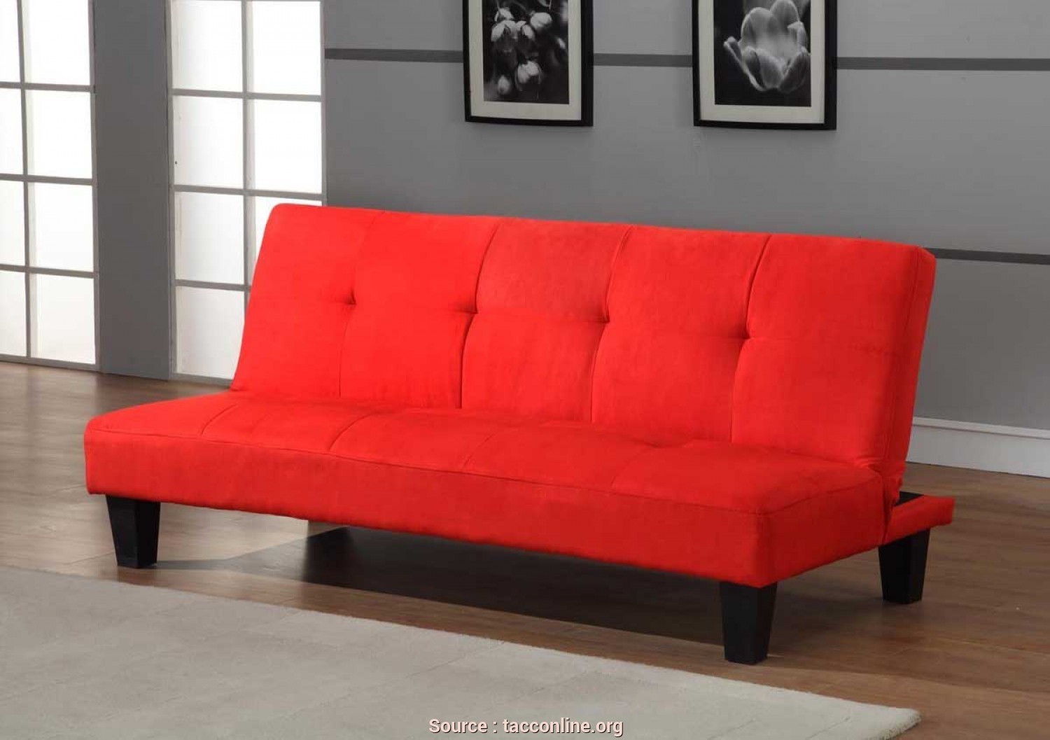 Couch with fold out bed