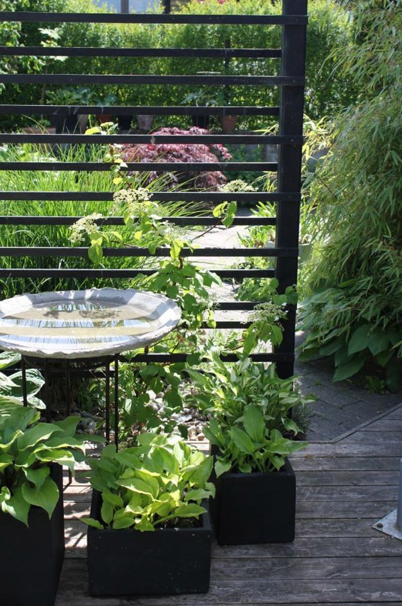 Iron trellis panels