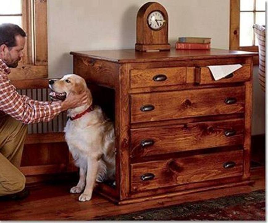 Furniture dog crate