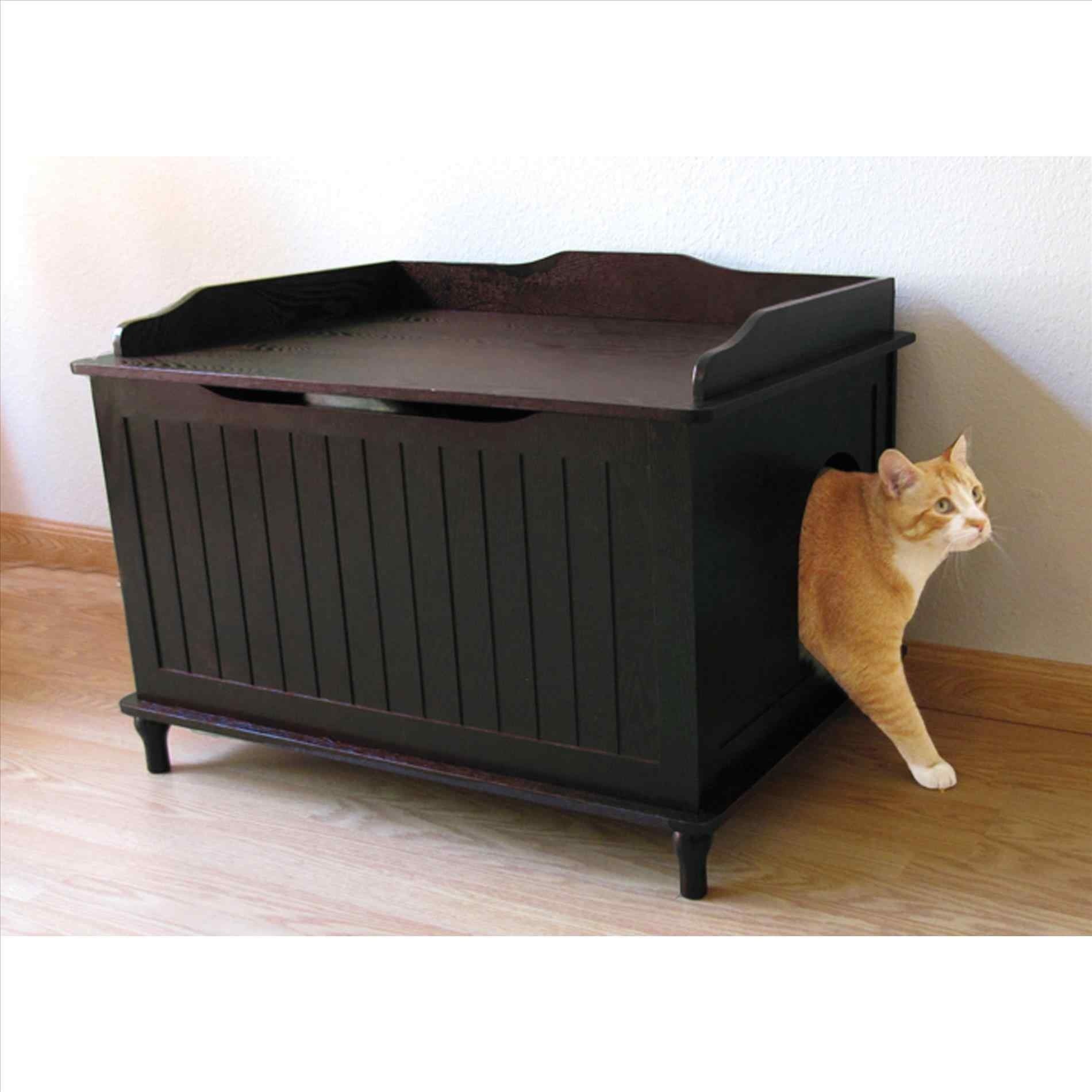 Litter box outside