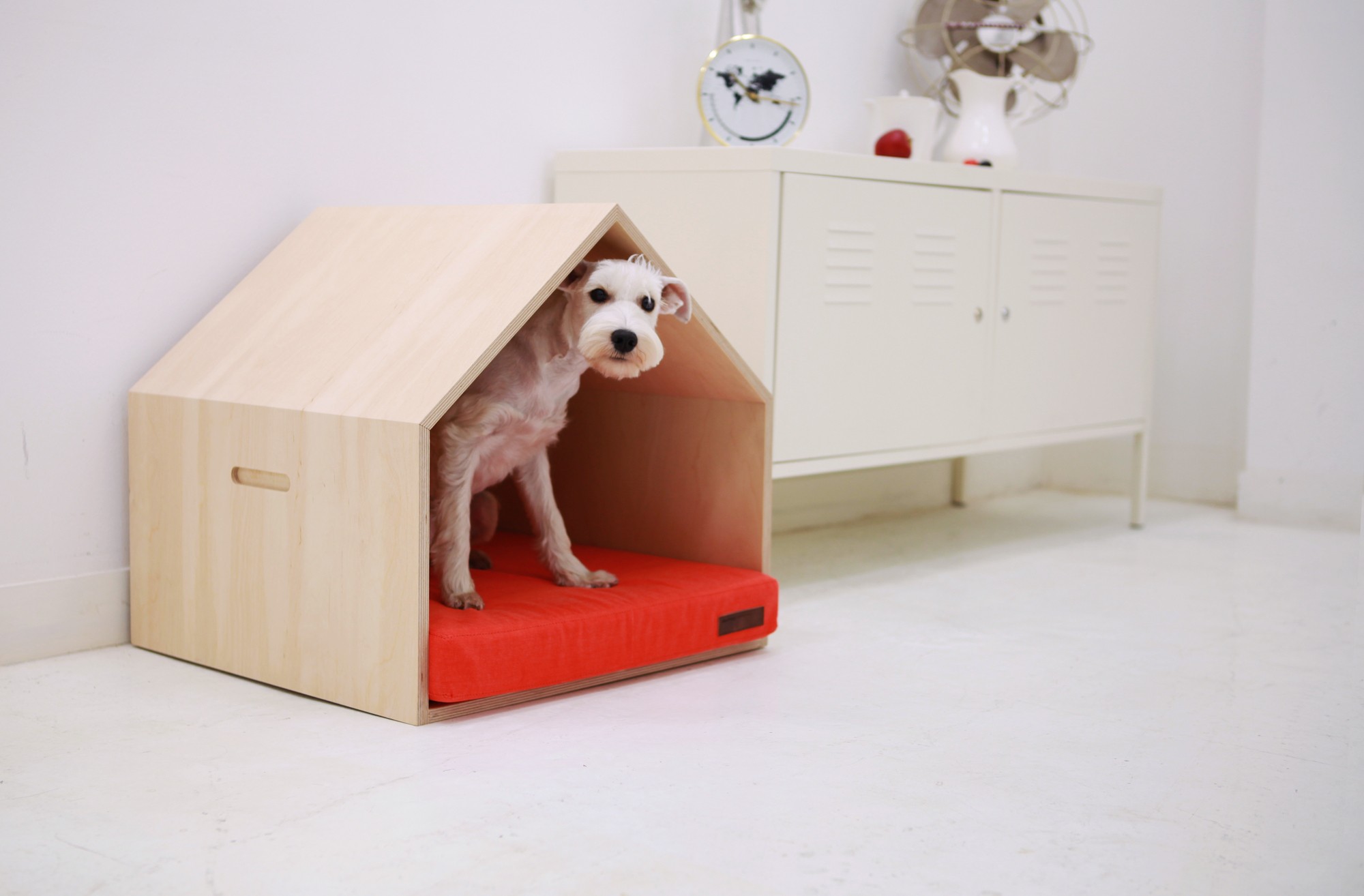 Fancy dog crate