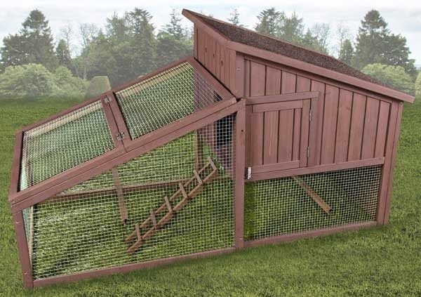 Hen Chicken Coop