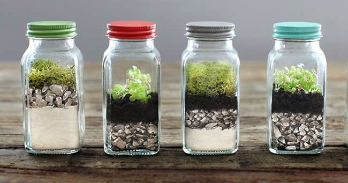 Unique spice jars 1