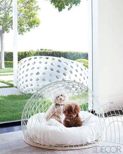 Creative dog crate ideas