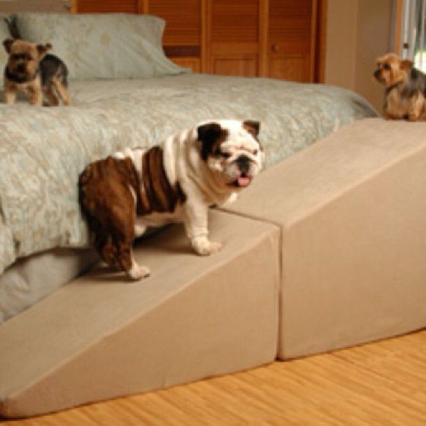 Diy dog ramp