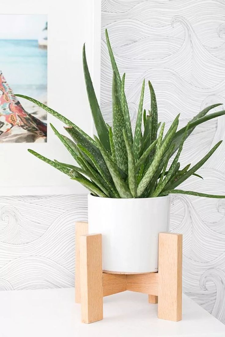 Handcrafted wooden plant stand