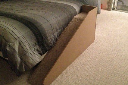 Cat ramp