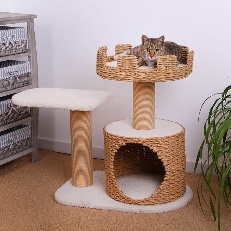 Green cat tree