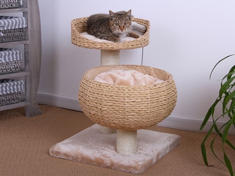 Outdoor cat tree