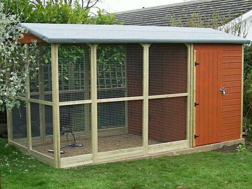 Aviary for sale 3