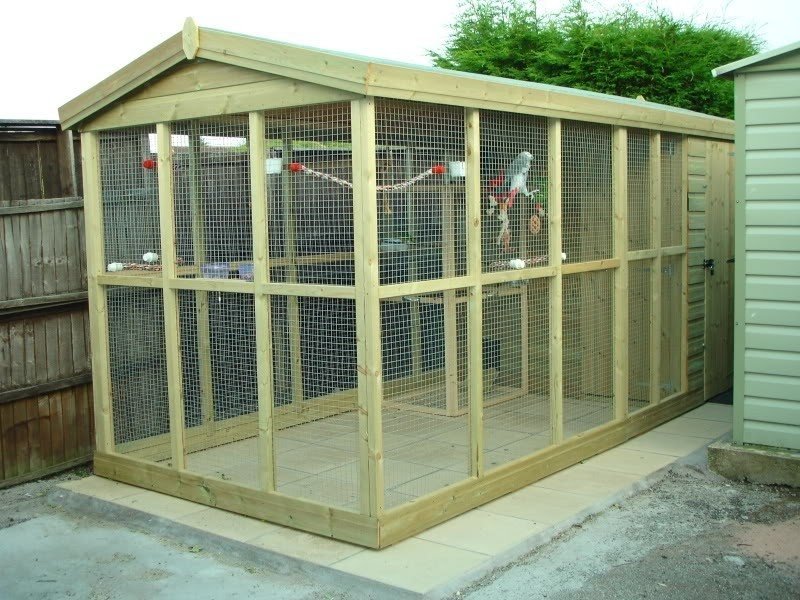 Aviary for sale