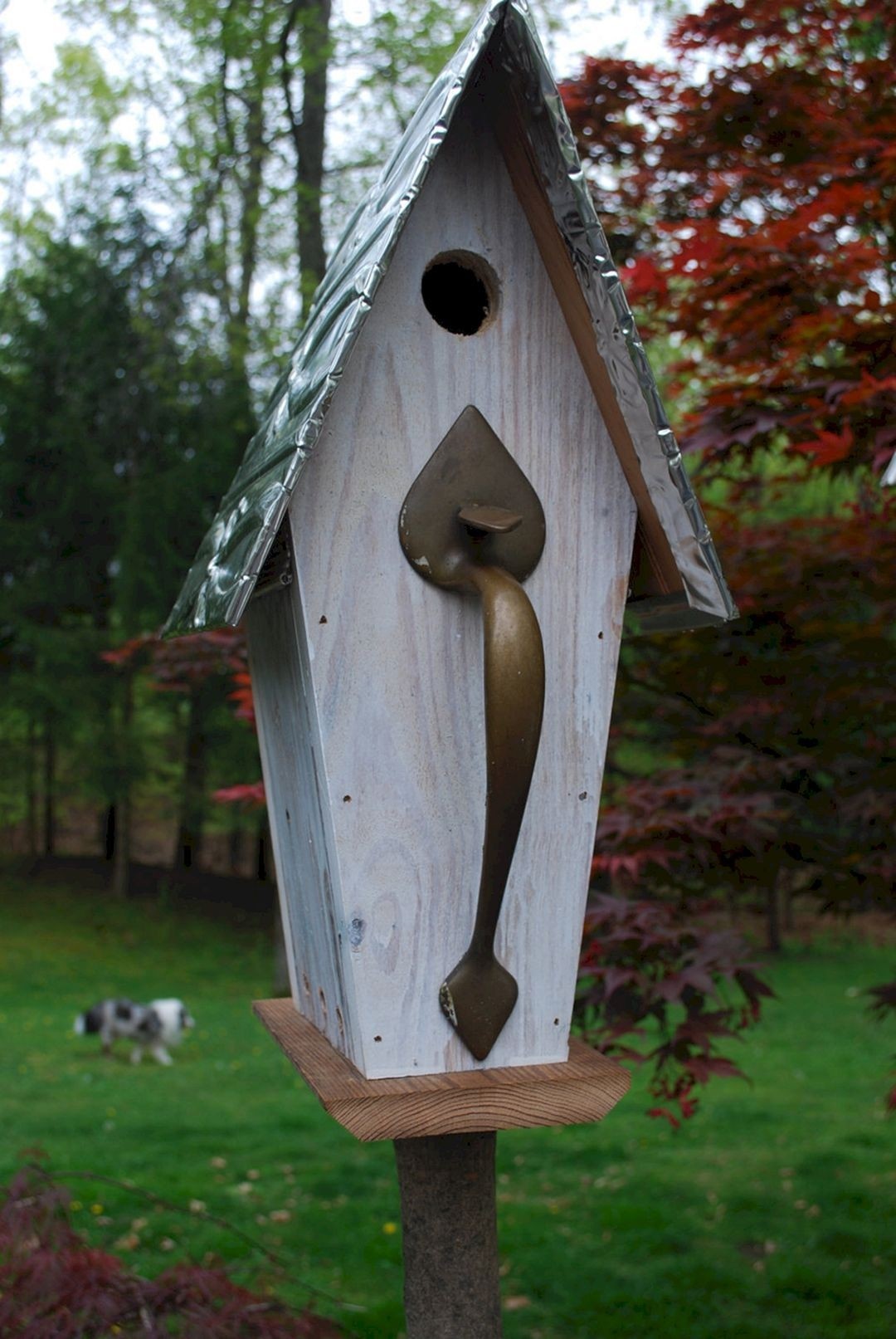 Grand brass doorpull birdhouse