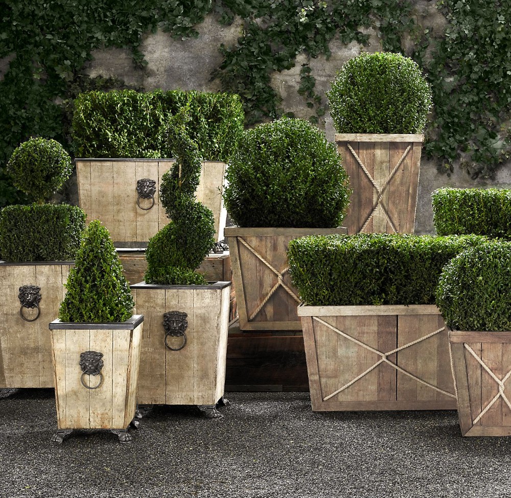 Topiary front door
