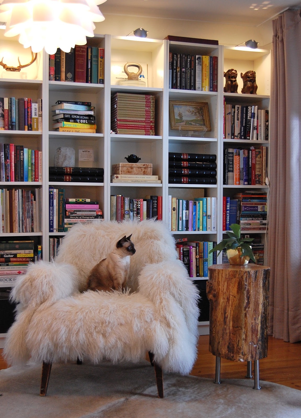 Fluffy chair