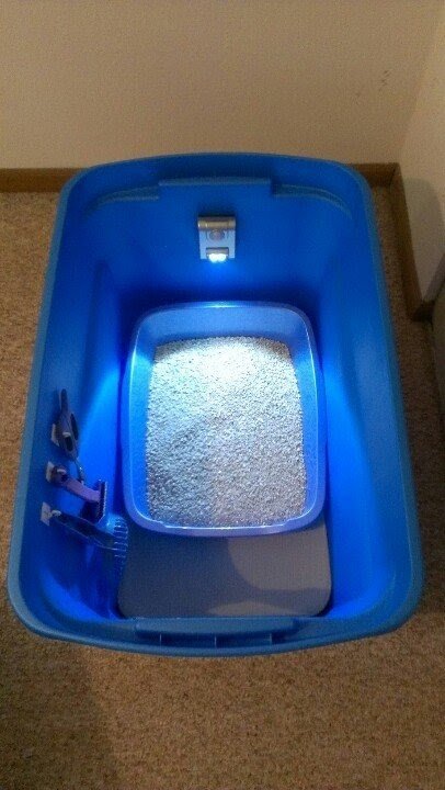 Plastic litter box 4