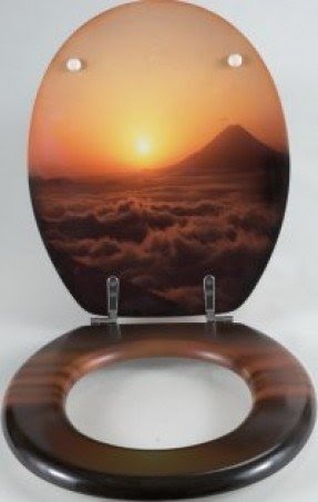 Novelty toilet seat 1