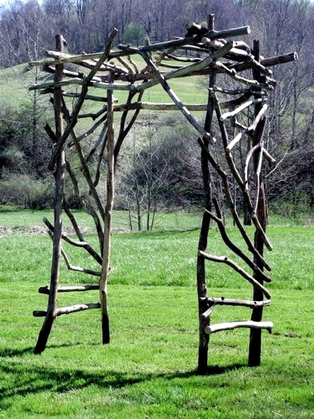 Tall garden trellis 8