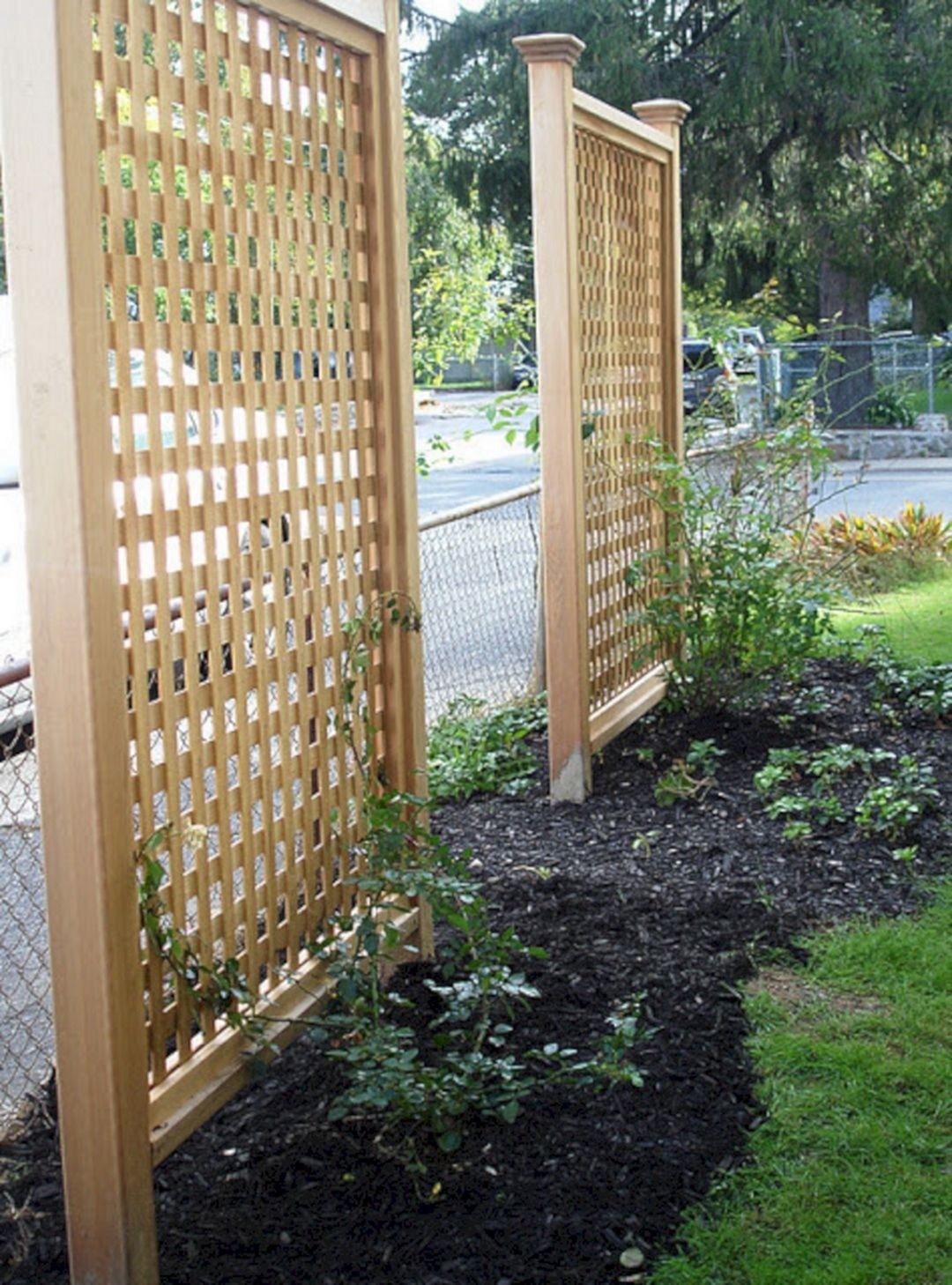 Tall garden trellis
