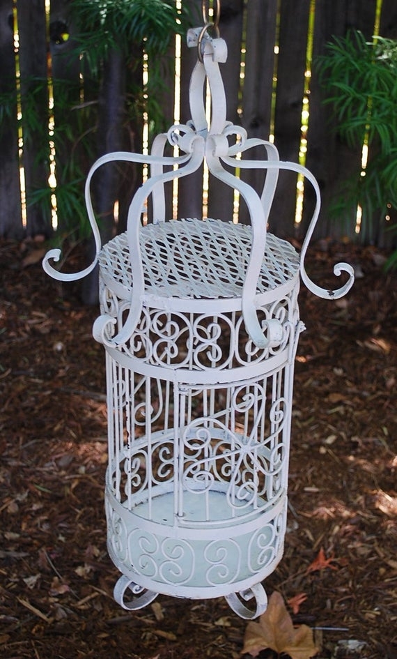 Where to buy vintage bird cages