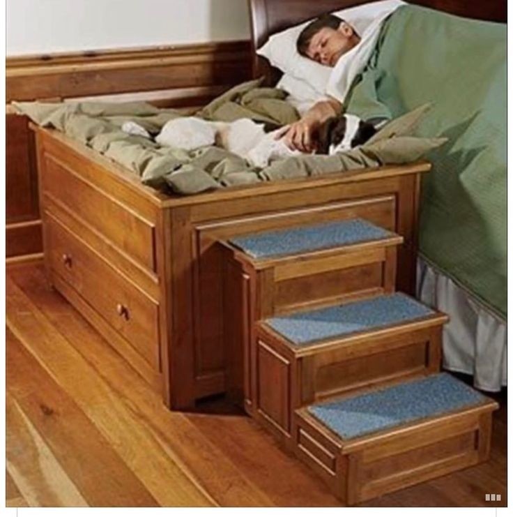 Dog stairs for large dogs