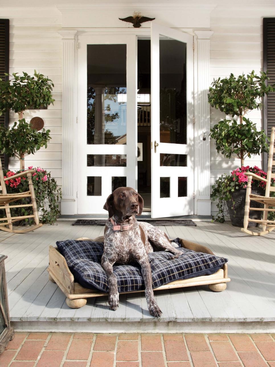 How to build dog bed