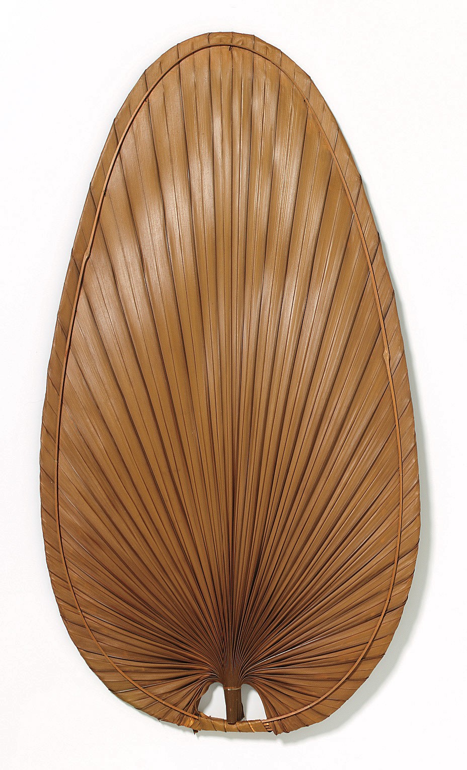 Narrow Oval Natural Palm Ceiling Fan Blade (Set of 5)
