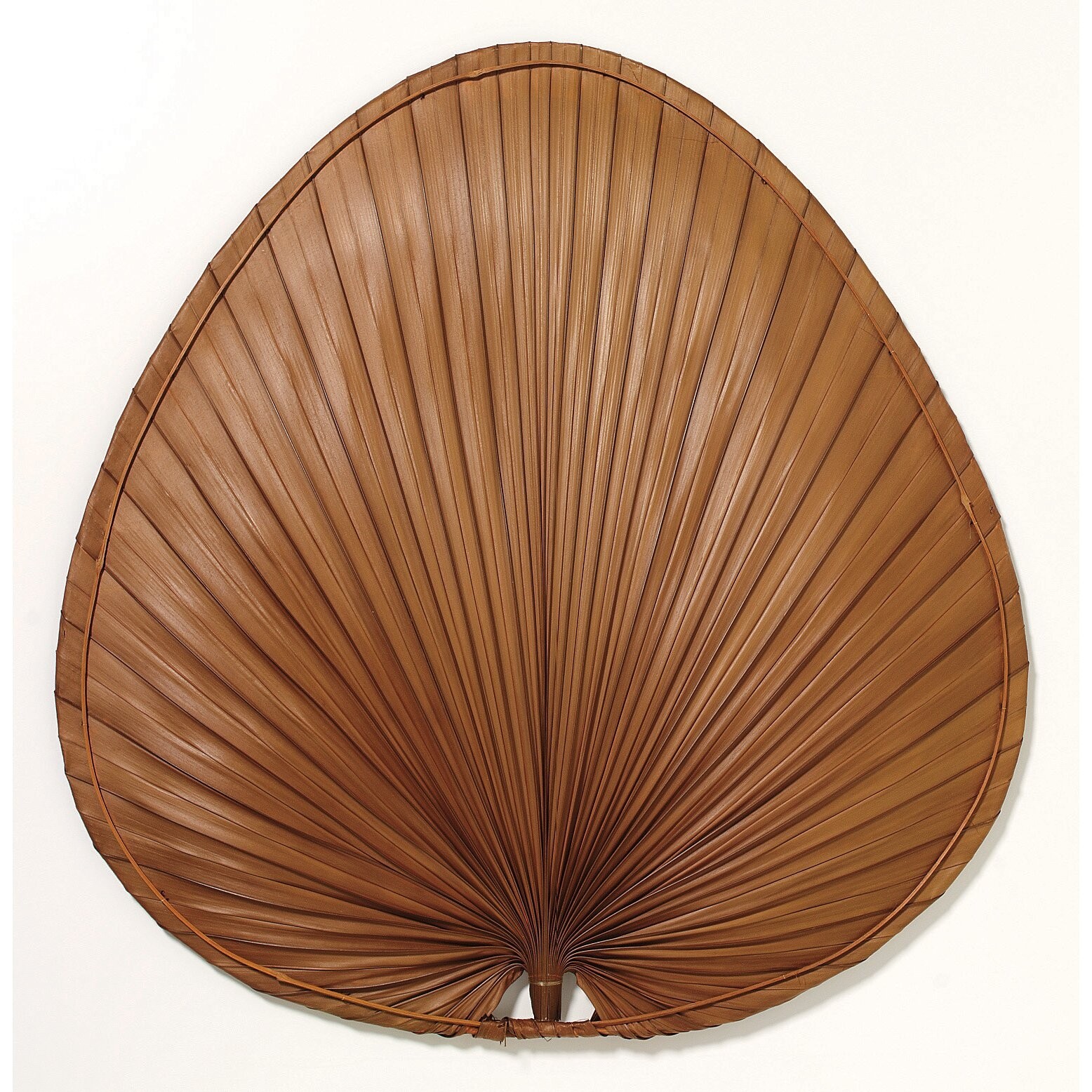 Palm fan blades