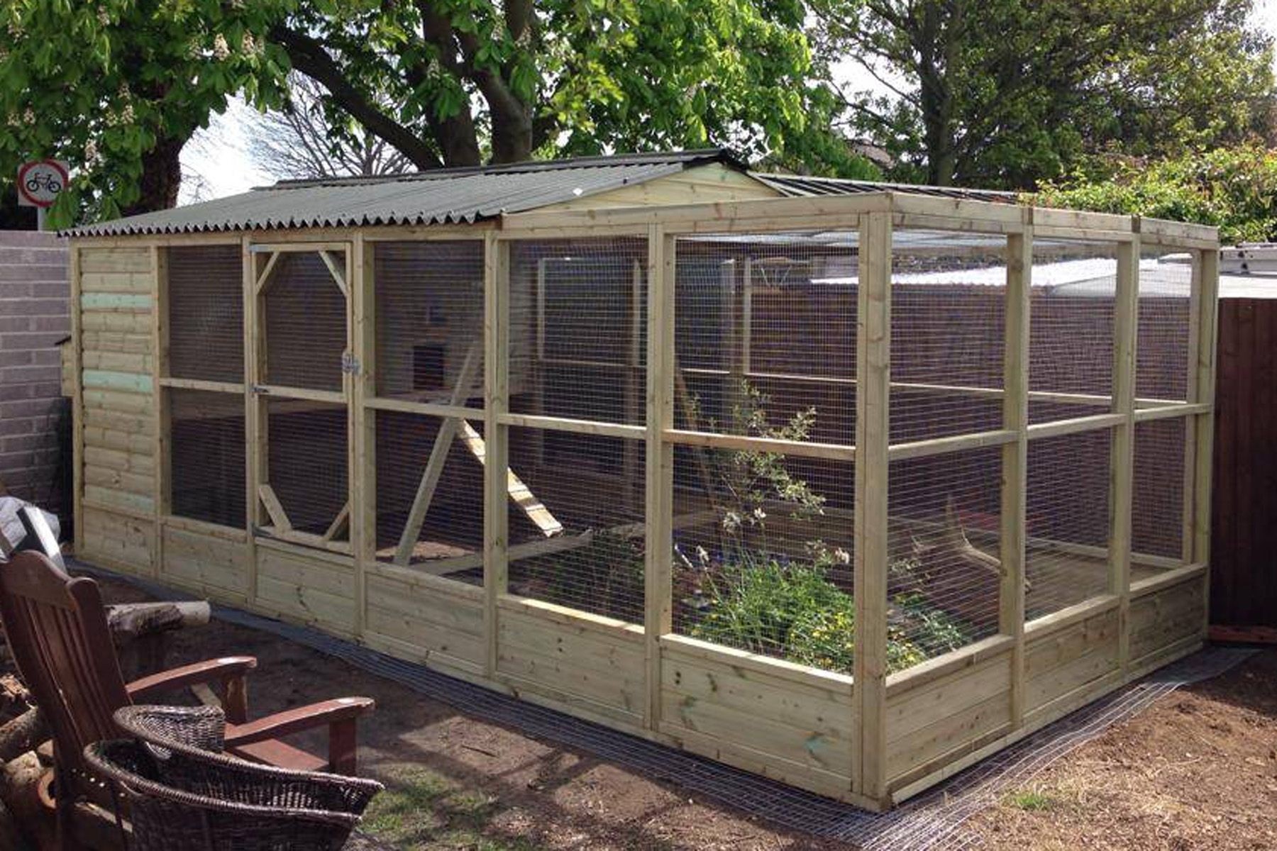 Purple chicken coop